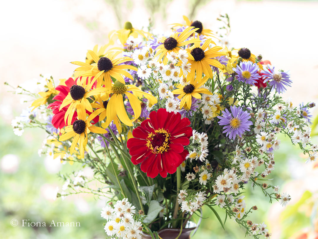Blumen mit WOW, bunter Blumenstrauß aus dem Garten