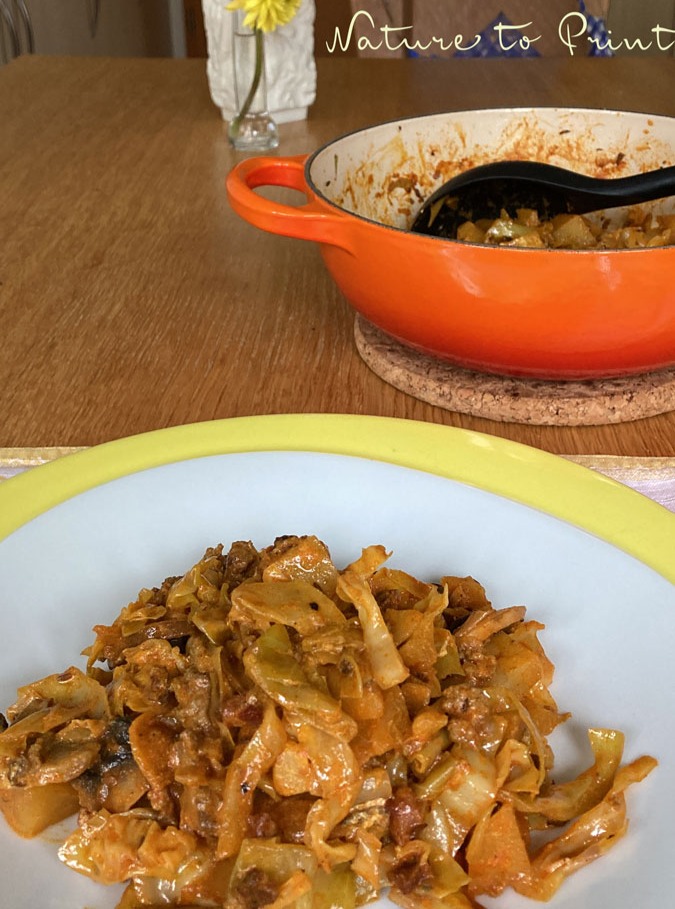 Japanische Zierquitte, hübscher Strauch für Bienen &amp; Vögel