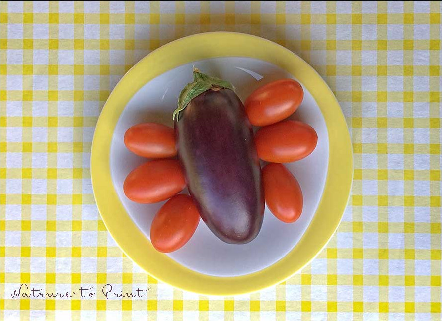 Auberginen und Datteltomaten wachsen in Töpfen im Selbstversorgergarten Aubergine und Datteltomaten wachsen in Töpfen im Selbstversorgergarten