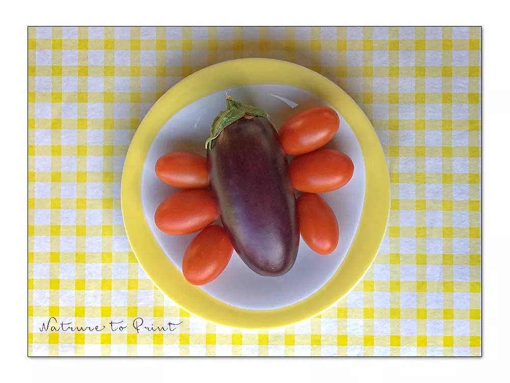 Gesundes aus dem Garten: Erntefrische Tomaten und eine Aubergine 