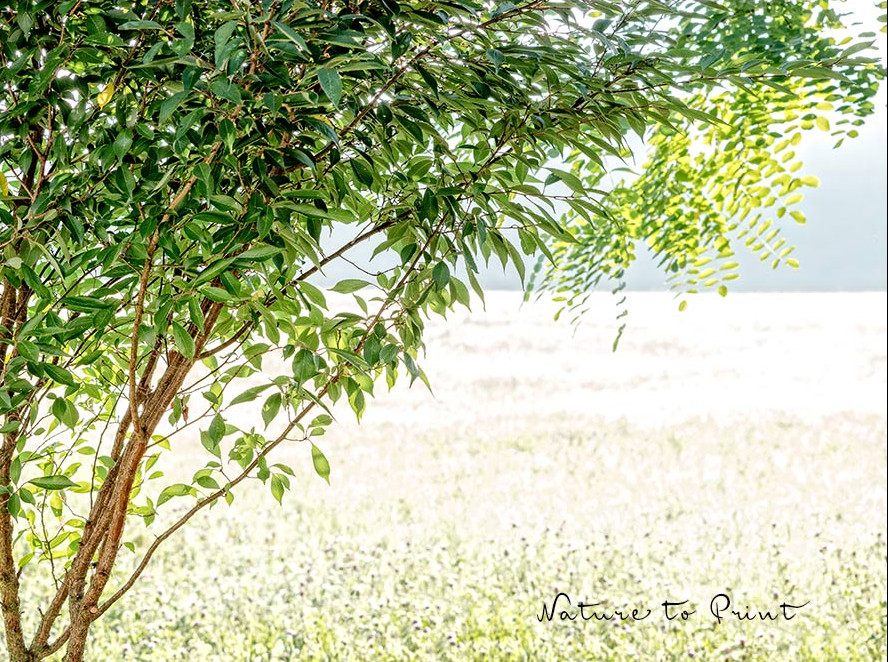 Einkaufsquellen für meinen Garten mit Aussicht