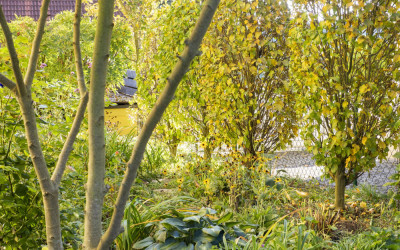 Gelassen gärtnern im Herbst. 6 Tipps für mehr Freude statt Arbeit