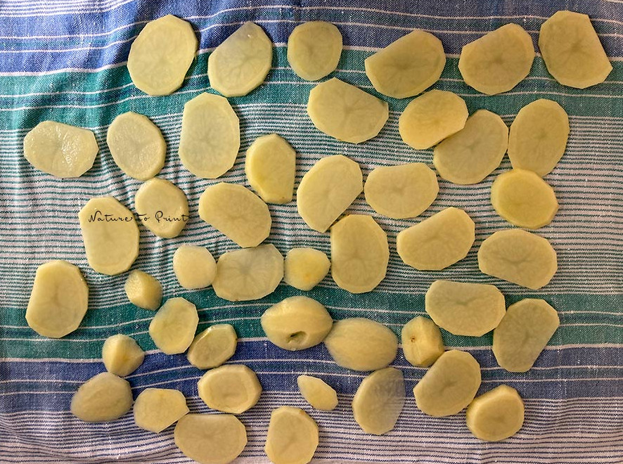 Kartoffelscheiben trocknen in einem Geschirrtuch Kartoffelscheiben trocknen in einem Geschirrtuch