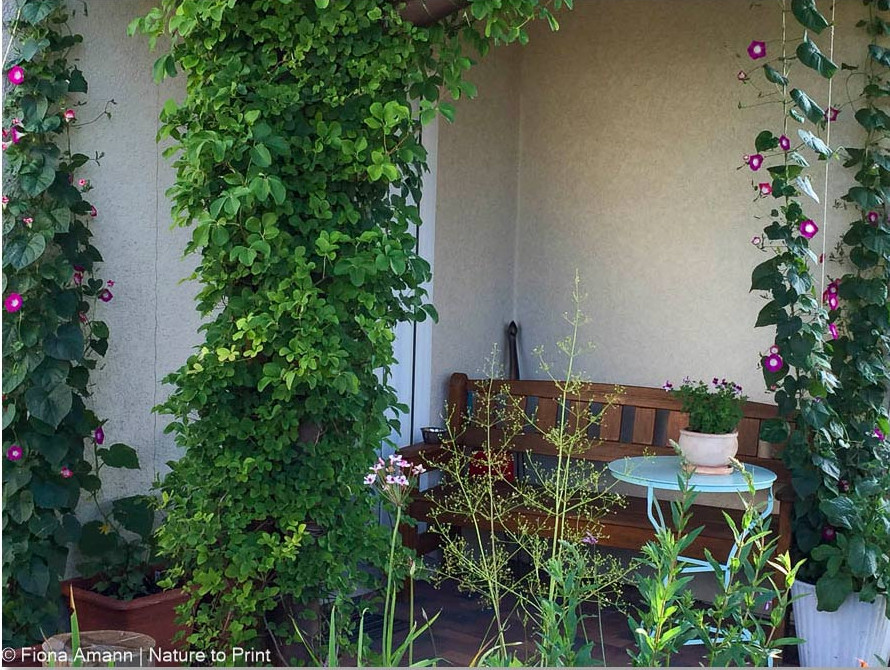 Gartenbank auf der kleinen Terrasse