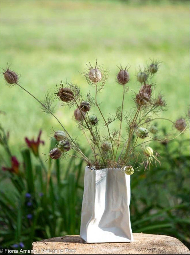 Getrocknete Nigallen halten sich ewig in der Vase