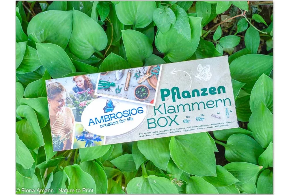 Pflanzenklammern, schnell & sicher fixieren mit einer Hand