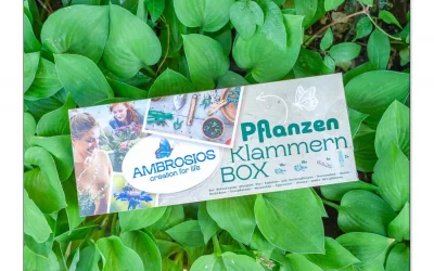 Pflanzenklammern, schnell & sicher fixieren mit einer Hand