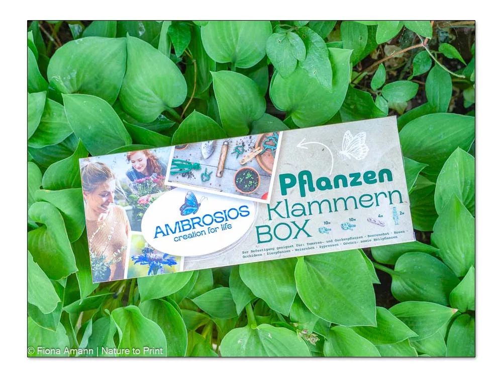 Hochwertige Pflanzenklammern-Box von Ambrosios