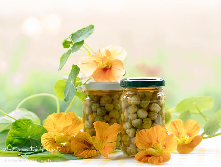 Falsche Kapern im Glas